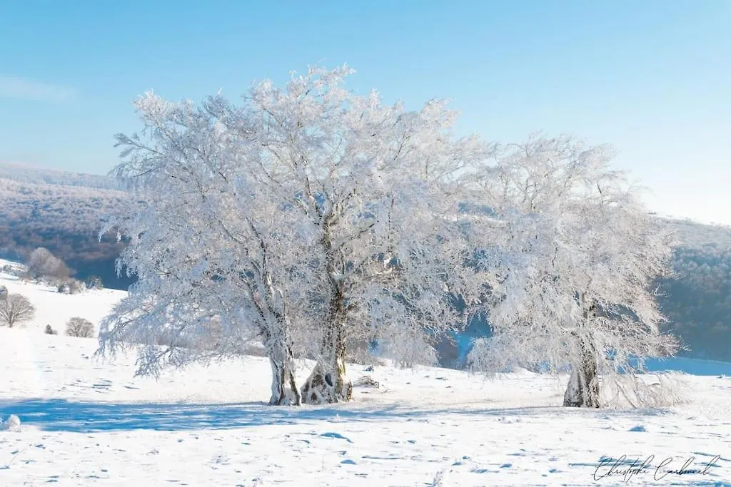 Buron De Leon, En Plein Coeur De L Aubrac Villa Laguiole Holiday home