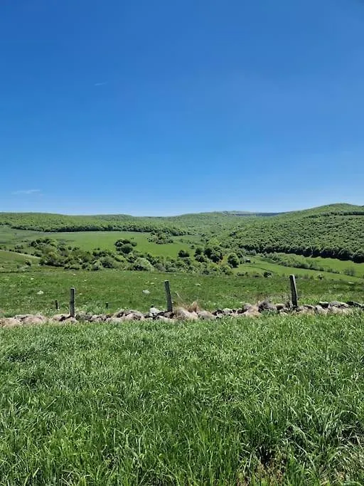 Buron De Leon, En Plein Coeur De L Aubrac Villa Laguiole France
